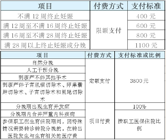 奥门全年资料免费大全一,综合计划定义评估_V229.151