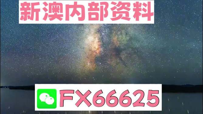 新澳天天彩免费资料大全查询,绝对经典解释落实_Advanced28.689