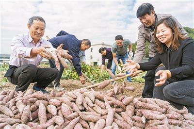 宁海梅林最新招工信息及其地域就业生态影响分析